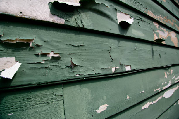  Princeton, MO Junk Removal Pros