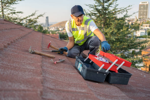 Best Yard Waste Removal  in Princeton, MO
